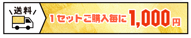 送料：１セットご購入毎に1,000円